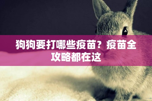 狗狗要打哪些疫苗？疫苗全攻略都在這