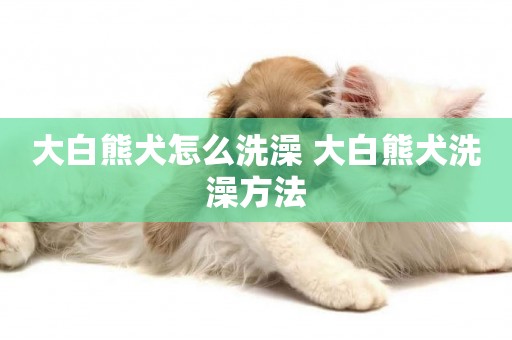 大白熊犬怎么洗澡 大白熊犬洗澡方法