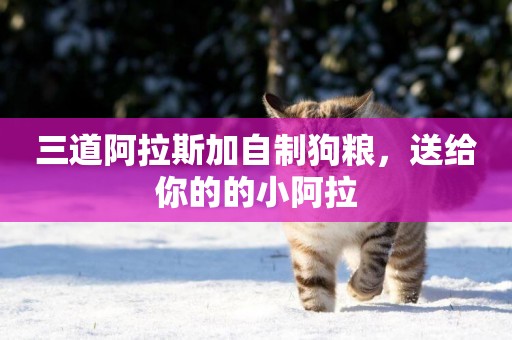 三道阿拉斯加自制狗糧，送給你的的小阿拉
