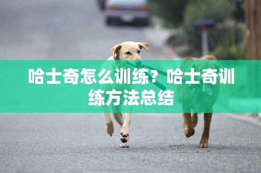 哈士奇怎么訓練？哈士奇訓練方法總結