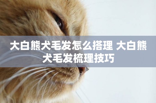 大白熊犬毛發怎么搭理 大白熊犬毛發梳理技巧