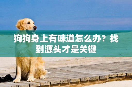 狗狗身上有味道怎么辦？找到源頭才是關鍵