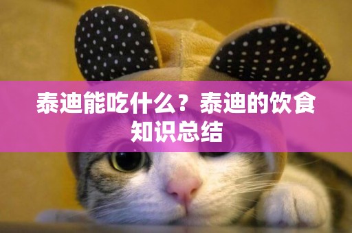 泰迪能吃什么？泰迪的飲食知識總結