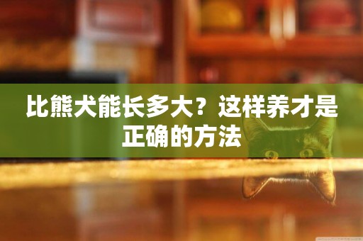 比熊犬能長多大？這樣養才是正確的方法