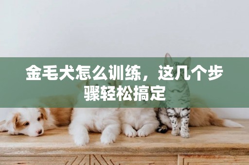 金毛犬怎么訓練，這幾個步驟輕松搞定