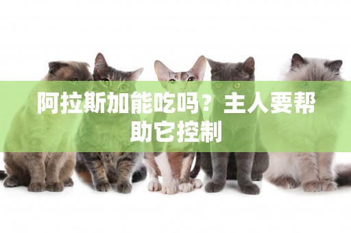 阿拉斯加能吃嗎？主人要幫助它控制