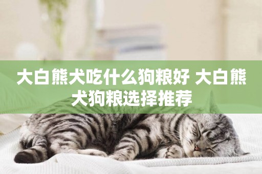 大白熊犬吃什么狗糧好 大白熊犬狗糧選擇推薦