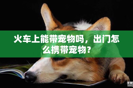 火車上能帶寵物嗎，出門怎么攜帶寵物？