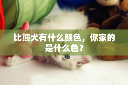 比熊犬有什么顏色，你家的是什么色？