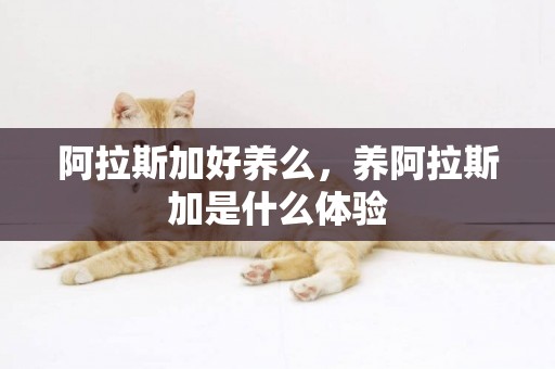 阿拉斯加好養么，養阿拉斯加是什么體驗