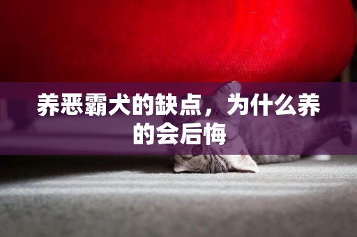 養惡霸犬的缺點，為什么養的會后悔