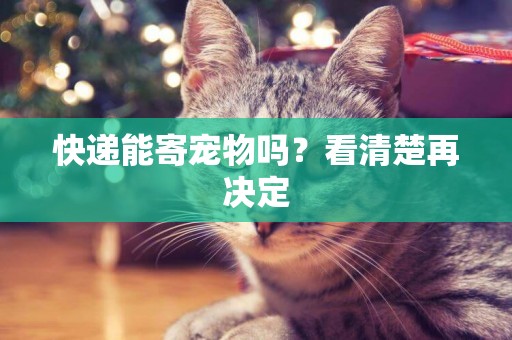 快遞能寄寵物嗎？看清楚再決定