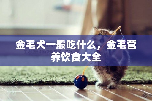 金毛犬一般吃什么，金毛營養飲食大全