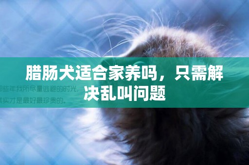 臘腸犬適合家養嗎，只需解決亂叫問題