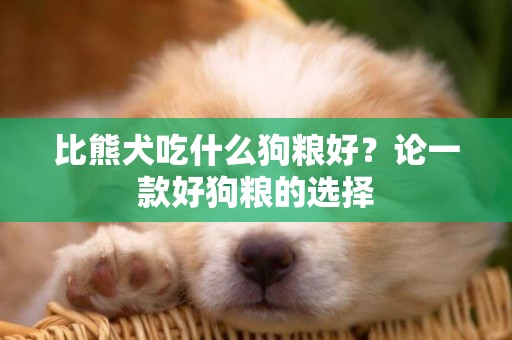 比熊犬吃什么狗糧好？論一款好狗糧的選擇