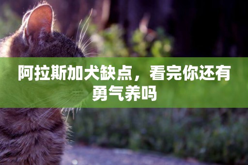 阿拉斯加犬缺點，看完你還有勇氣養嗎