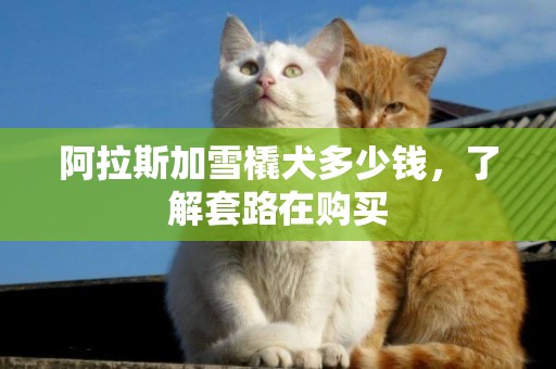 阿拉斯加雪橇犬多少錢，了解套路在購買