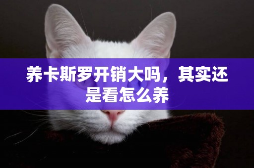 養卡斯羅開銷大嗎，其實還是看怎么養
