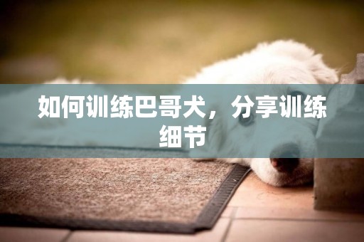 如何訓練巴哥犬，分享訓練細節
