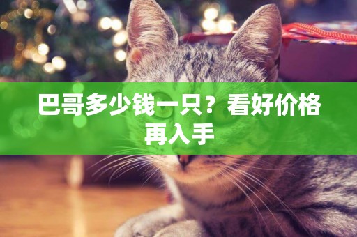巴哥多少錢一只？看好價格再入手