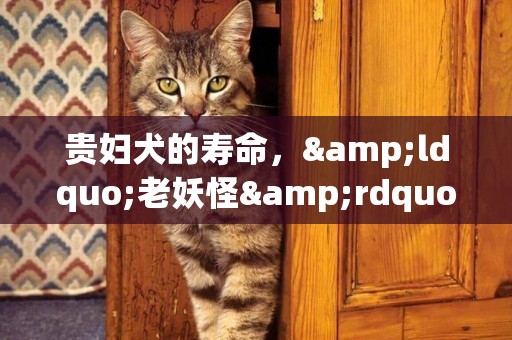 貴婦犬的壽命，&ldquo;老妖怪&rdquo;了解一下