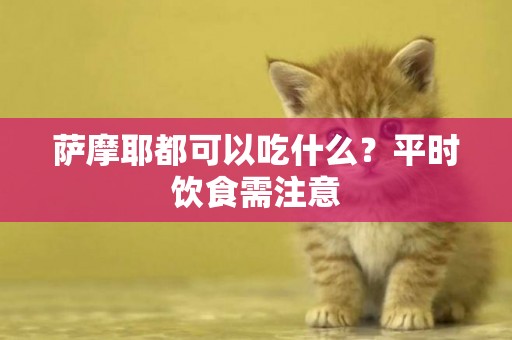 薩摩耶都可以吃什么？平時飲食需注意