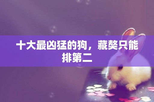 十大最兇猛的狗，藏獒只能排第二