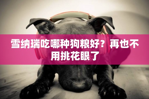 雪納瑞吃哪種狗糧好？再也不用挑花眼了