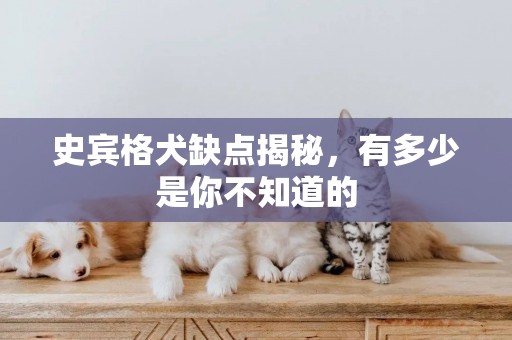 史賓格犬缺點揭秘，有多少是你不知道的
