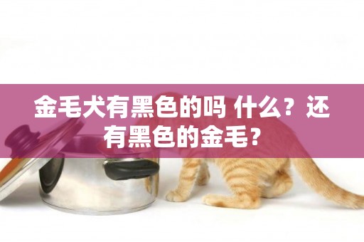 金毛犬有黑色的嗎 什么？還有黑色的金毛？