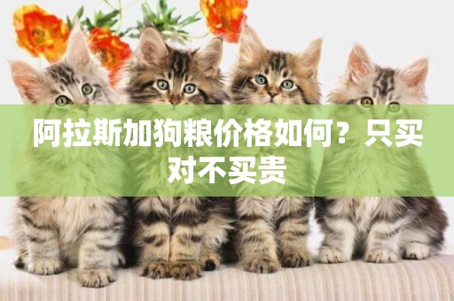 阿拉斯加狗糧價格如何？只買對不買貴