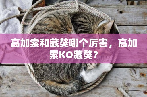 高加索和藏獒哪個厲害，高加索KO藏獒？