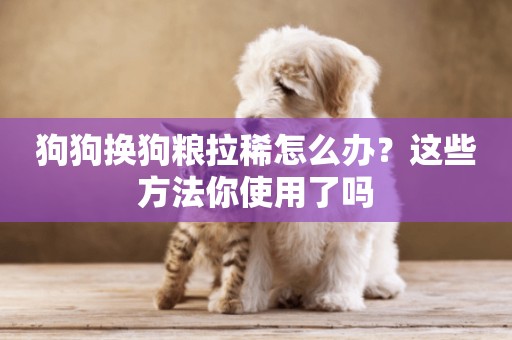 狗狗換狗糧拉稀怎么辦？這些方法你使用了嗎