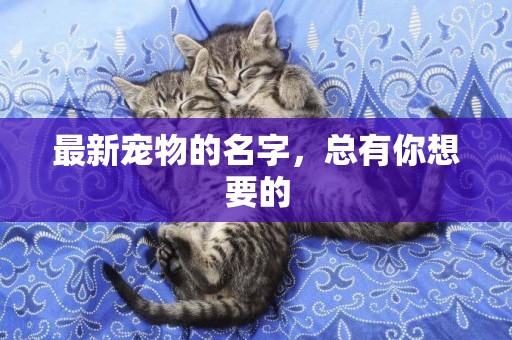 最新寵物的名字，總有你想要的