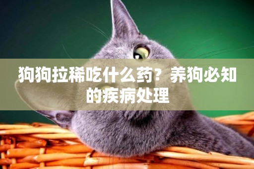 狗狗拉稀吃什么藥？養狗必知的疾病處理