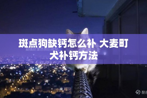 斑點狗缺鈣怎么補 大麥町犬補鈣方法