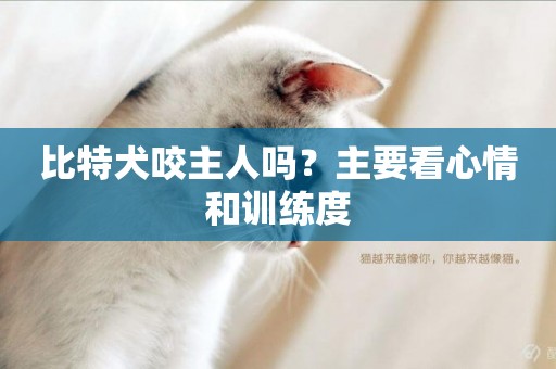 比特犬咬主人嗎？主要看心情和訓練度
