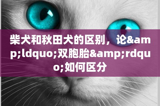柴犬和秋田犬的區別，論&ldquo;雙胞胎&rdquo;如何區分
