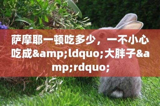 薩摩耶一頓吃多少，一不小心吃成&ldquo;大胖子&rdquo;