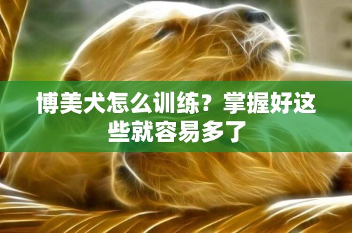 博美犬怎么訓練？掌握好這些就容易多了