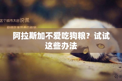 阿拉斯加不愛吃狗糧？試試這些辦法