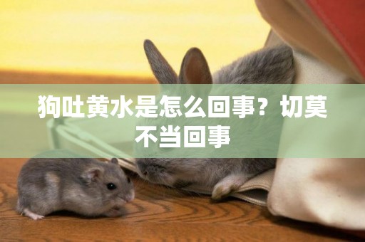 狗吐黃水是怎么回事？切莫不當回事