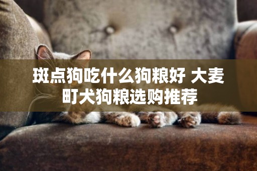 斑點狗吃什么狗糧好 大麥町犬狗糧選購推薦