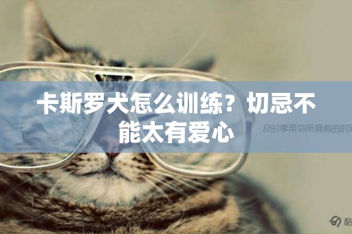 卡斯羅犬怎么訓練？切忌不能太有愛心