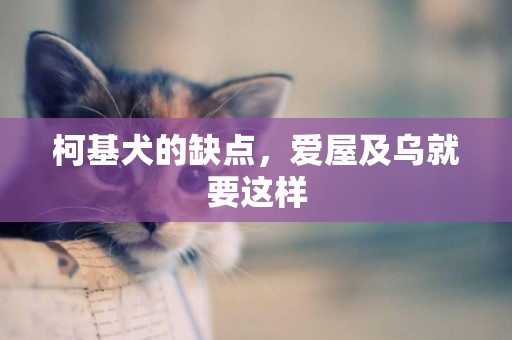 柯基犬的缺點，愛屋及烏就要這樣