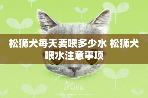 松獅犬每天要喂多少水 松獅犬喂水注意事項