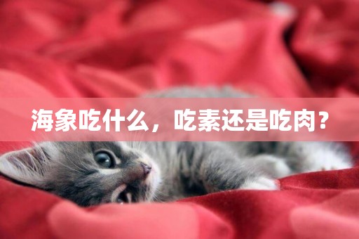 海象吃什么，吃素還是吃肉？