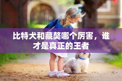 比特犬和藏獒哪個厲害，誰才是真正的王者