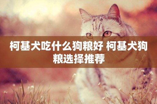 柯基犬吃什么狗糧好 柯基犬狗糧選擇推薦