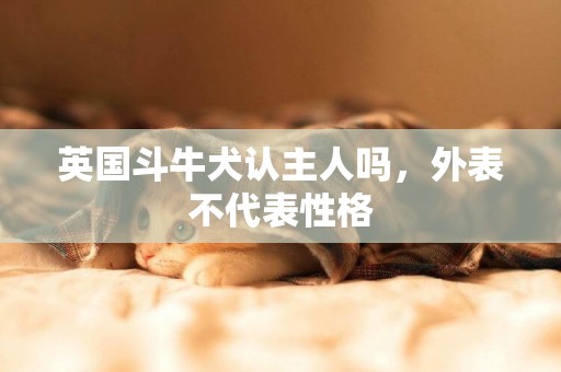 英國斗牛犬認主人嗎，外表不代表性格